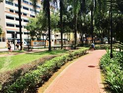 Blk 685A Choa Chu Kang Crescent (Choa Chu Kang), HDB 4 Rooms #143069142